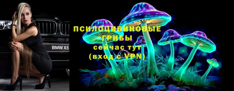 МЕГА сайт  Норильск  Галлюциногенные грибы Magic Shrooms 